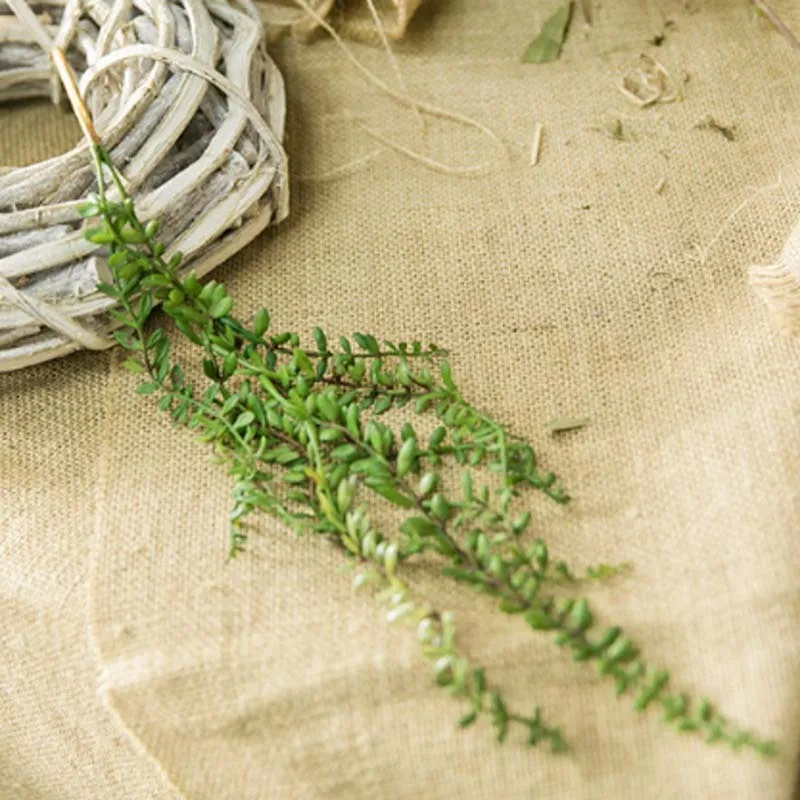 

Пластиковые искусственные виноградные ветки