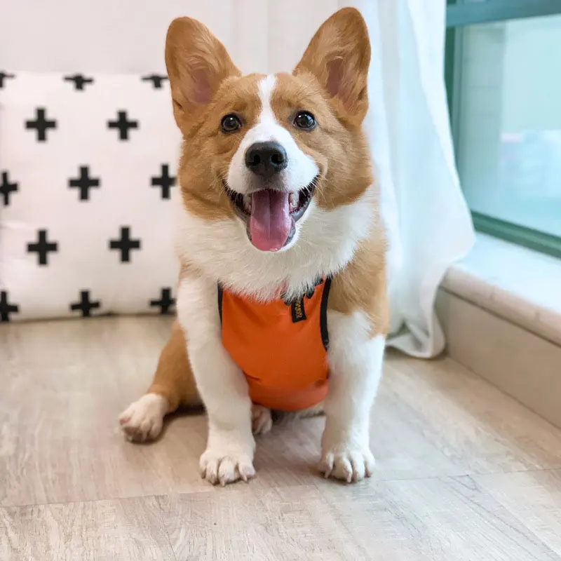 Бархатный водонепроницаемый фартук для защиты живота от корги одежда маленьких