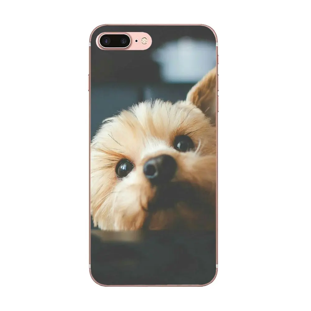 Сотовый Чехол для щенков Shih Tzu Shitzu Xiaomi Redmi Mi 4 7A 9T K20 CC9 CC9e Note 7 8 9 Y3 SE Pro Prime Go Play |
