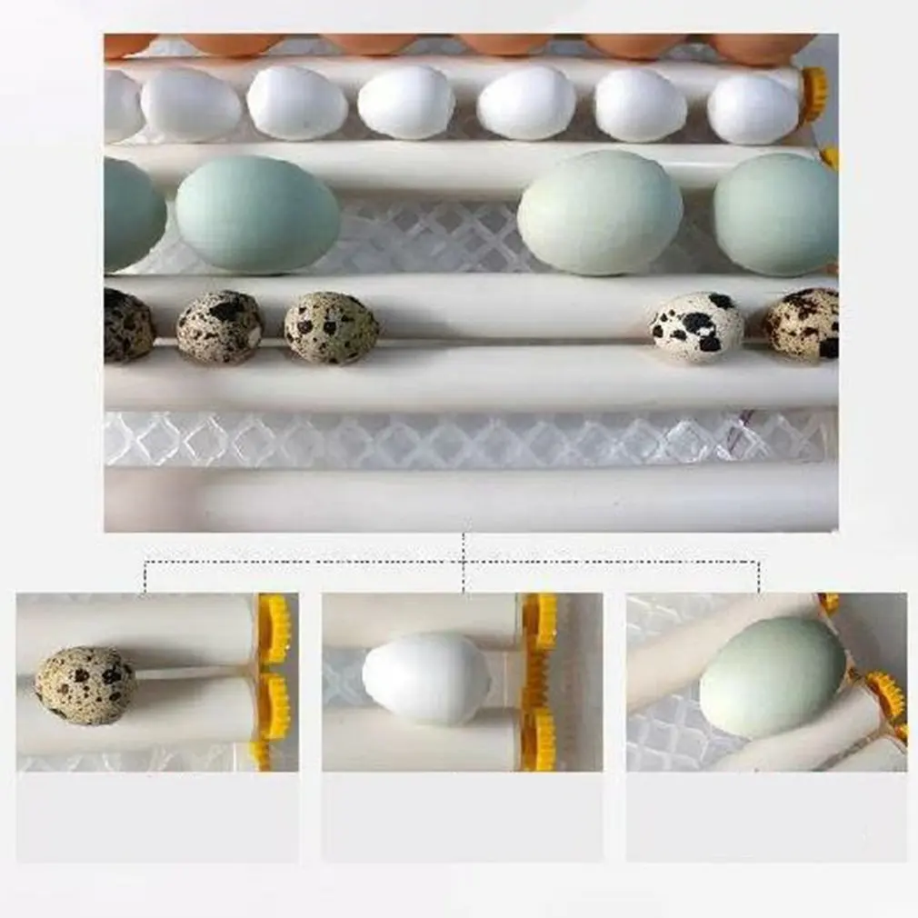 

110V/220V Household 16 Eggs Incubator Double Power Intelligent Automatic Egg Hatchers for Chicken Duck Goose Pigeon Bird Quail