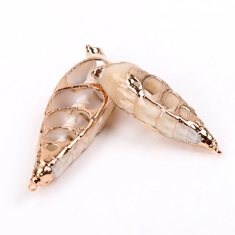 5 шт. спиральные ракушки для украшения дома|Ракушки и морские звезды| |