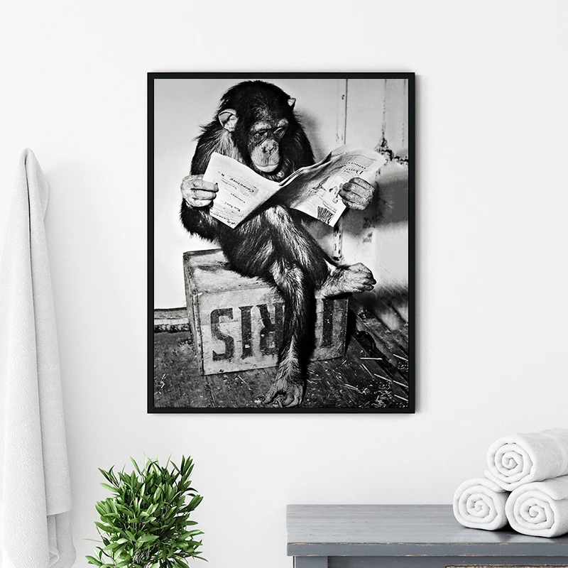 

Funny Monkey Black White Art Picture Canvas Poster Print Modern Home Decor Abstract Wall Painting Nordic Living Room Decoration