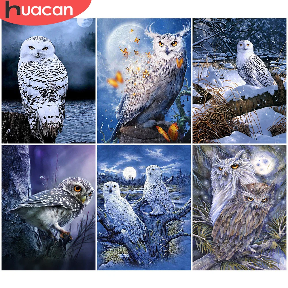 

HUACAN DIY Diamond Painting Animal Owl Diamond Embroidery Cross Stitch Full Square Mosaic Rhinestone Cartoon Home Decoration