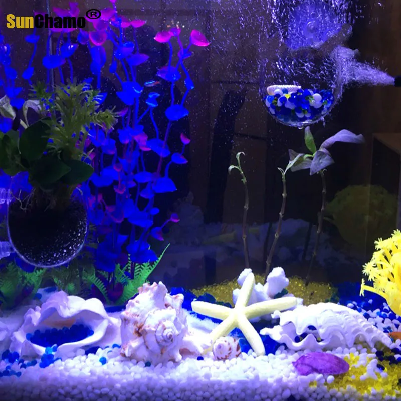 Золотая стрекоза натуральный раковины водные аквариумные средиземноморский