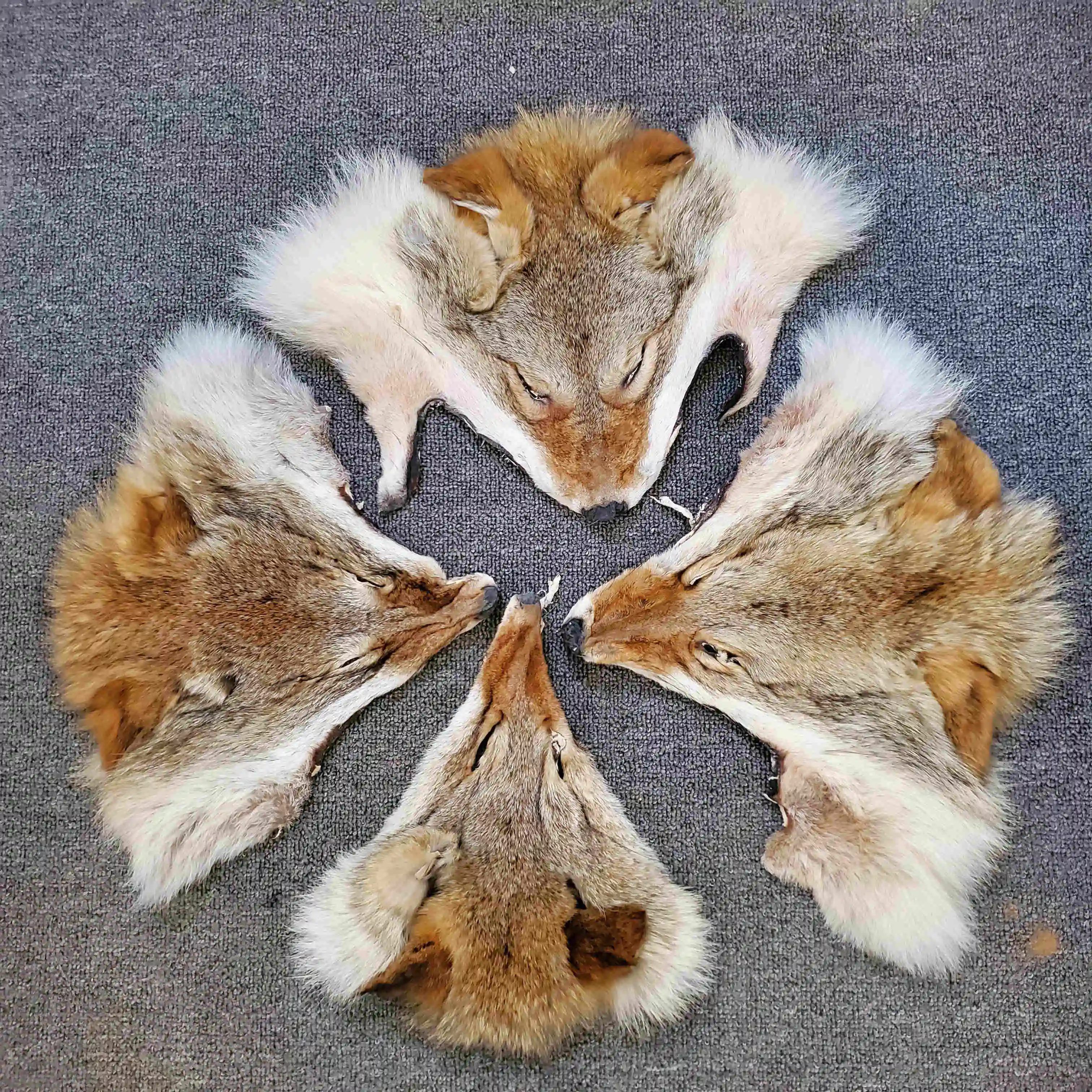 Украшение сделай сам из меха Койот | Дом и сад