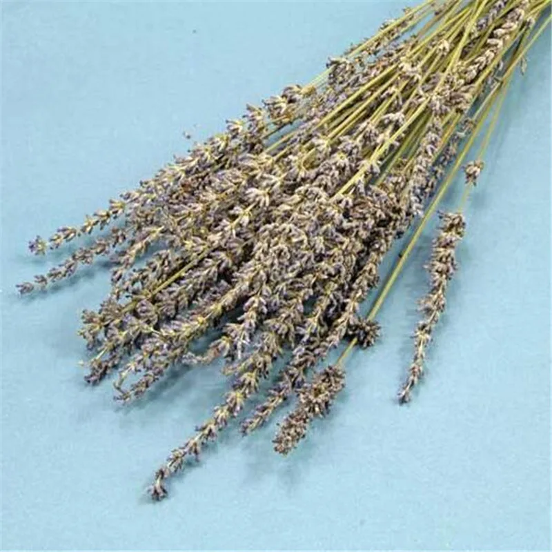 Лаванда 100% Натуральные сушеные цветы для свадебной вечеринки украшение дома