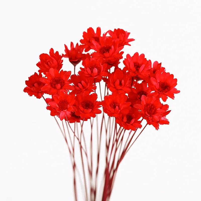 60pcs Natural Eternal Rose mini star flowers Dried Flower Bouquet for Wedding Party Home Decoration accessories Display flower | Дом и сад