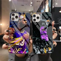 king james phone case tempered glass for iphone 12 pro max mini 11 pro xr xs max 8 x 7 6s 6 plus se 2020 cover