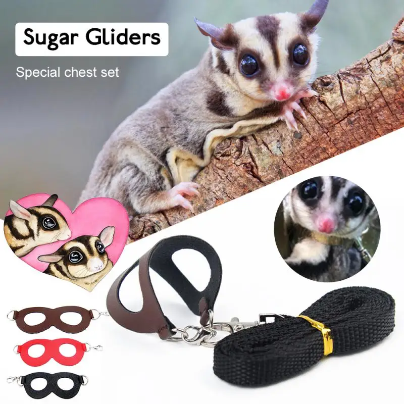 

3 шт./компл. поводок для улицы ветрозащитный антипотерянный хомяк белка для маленьких домашних животных безопасный поводок для прогулок пов...