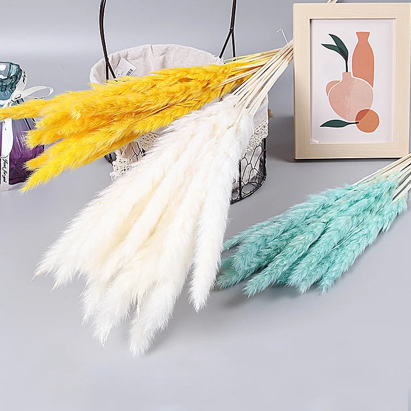 

Pampa Natural Dried Flowers Real Plants Branch Pampas Grass Decor Phragmites Flower Wedding Arrangement Home Decoration