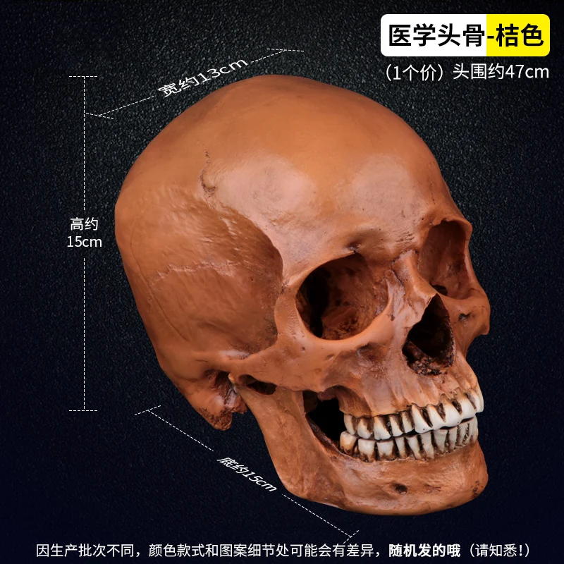

HeyMamba Resin Human Skull Replica Medical Home Halloween Decoration Craft Model Props Glowing Skull Ghost
