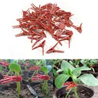 50 шт., пластиковые зажимы для поддержки растений