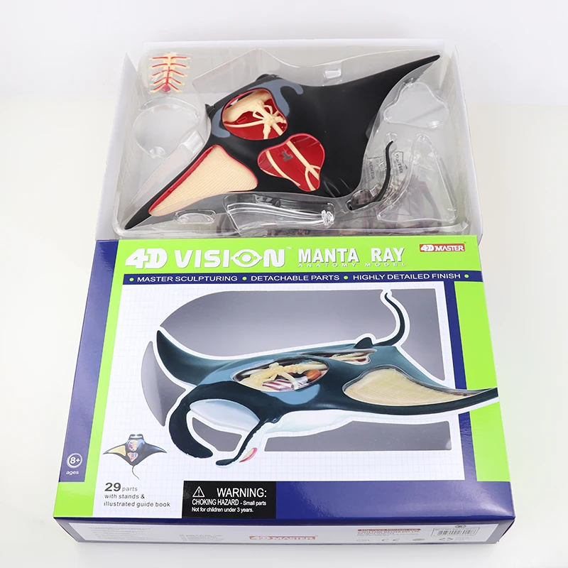 

29Pcs 4D Devil Ray Assembly Model Teaching Fish Toys for Anatomy Exhibition
