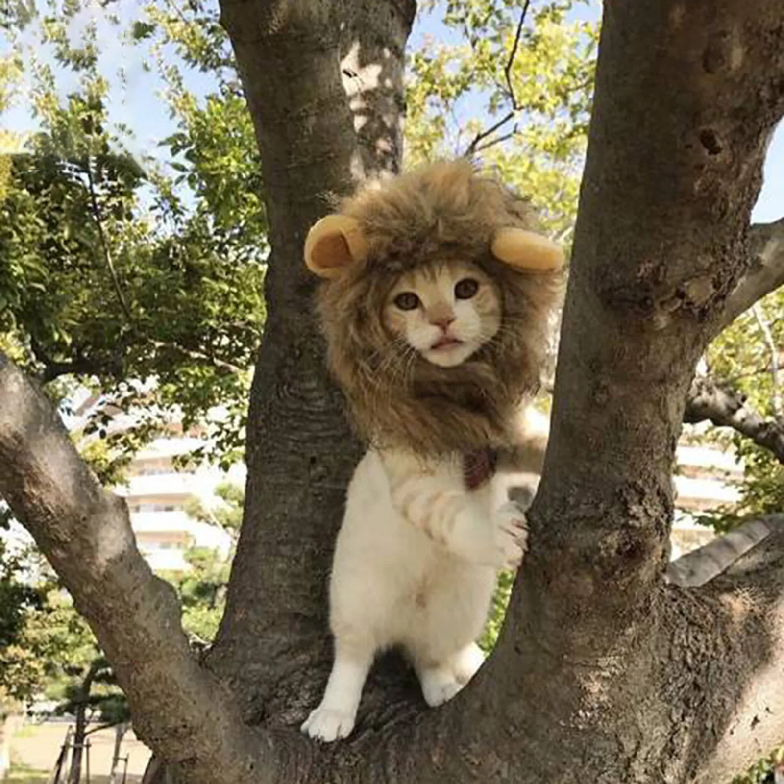 Милые головные уборы с ушками для кошек и маленьких собак или щенков Хэллоуина