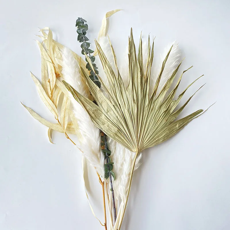 

Natural Dried Flowers Bouquet Pampas Grass Eucalyptus Leaves Gypsophila Immortal Plants Accessories Nordic Home Decoration