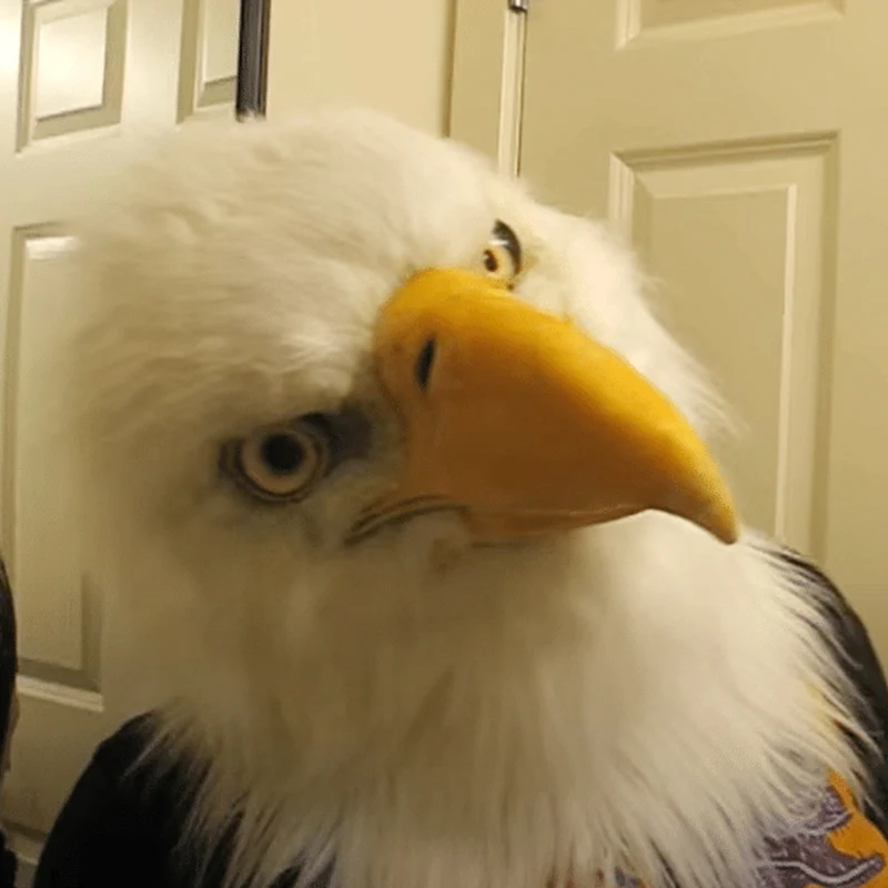 Головной убор с изображением животных орлы Хаски собака Черный кот головной на