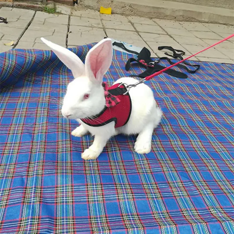 

Pet Mesh Soft Harness With Leash Small Animal Vest Lead for Hamster Rabbit Bunny Small animal pet accessories Belt lead set
