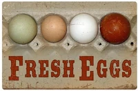 fresh eggs crate retro metal tin sign