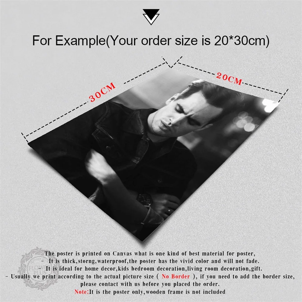 

Posters and Prints Brendon Urie Panic at the Disco Poster Decorative Canvas Painting Wall Art Picture Home Decor quadro cuadros