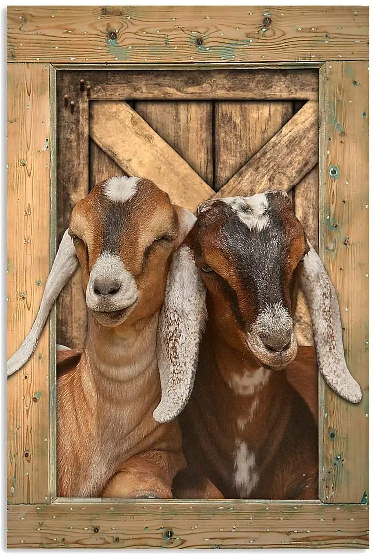

Eeypy Metal Signs Funny Goat Gate Open Farm,Wall Decor,Home Decor Print Art, Vintage