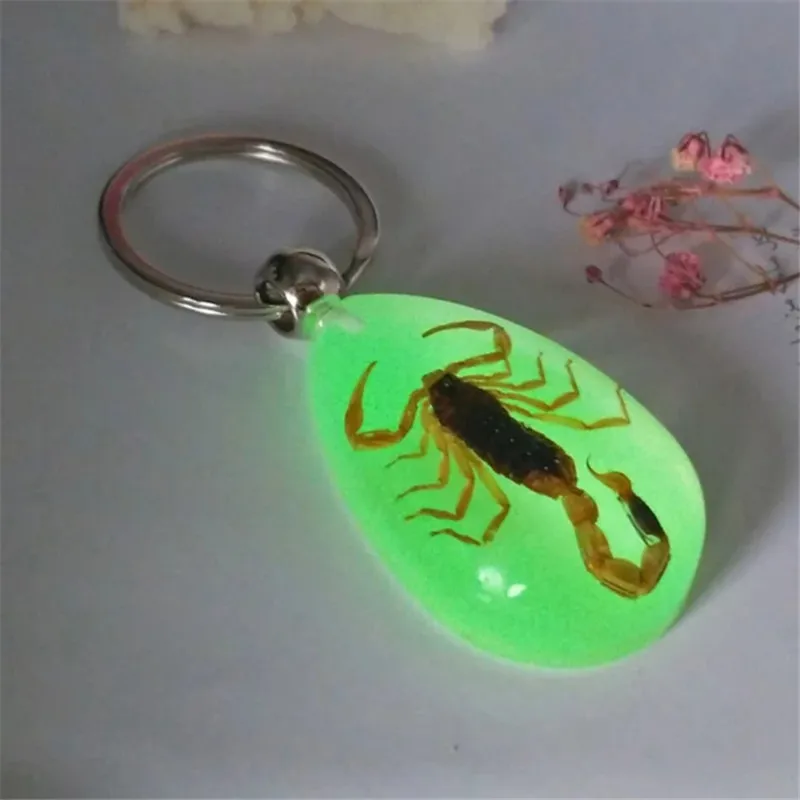 WWLB светящийся брелок для ключей Скорпион Новые светящиеся настоящие краба и со