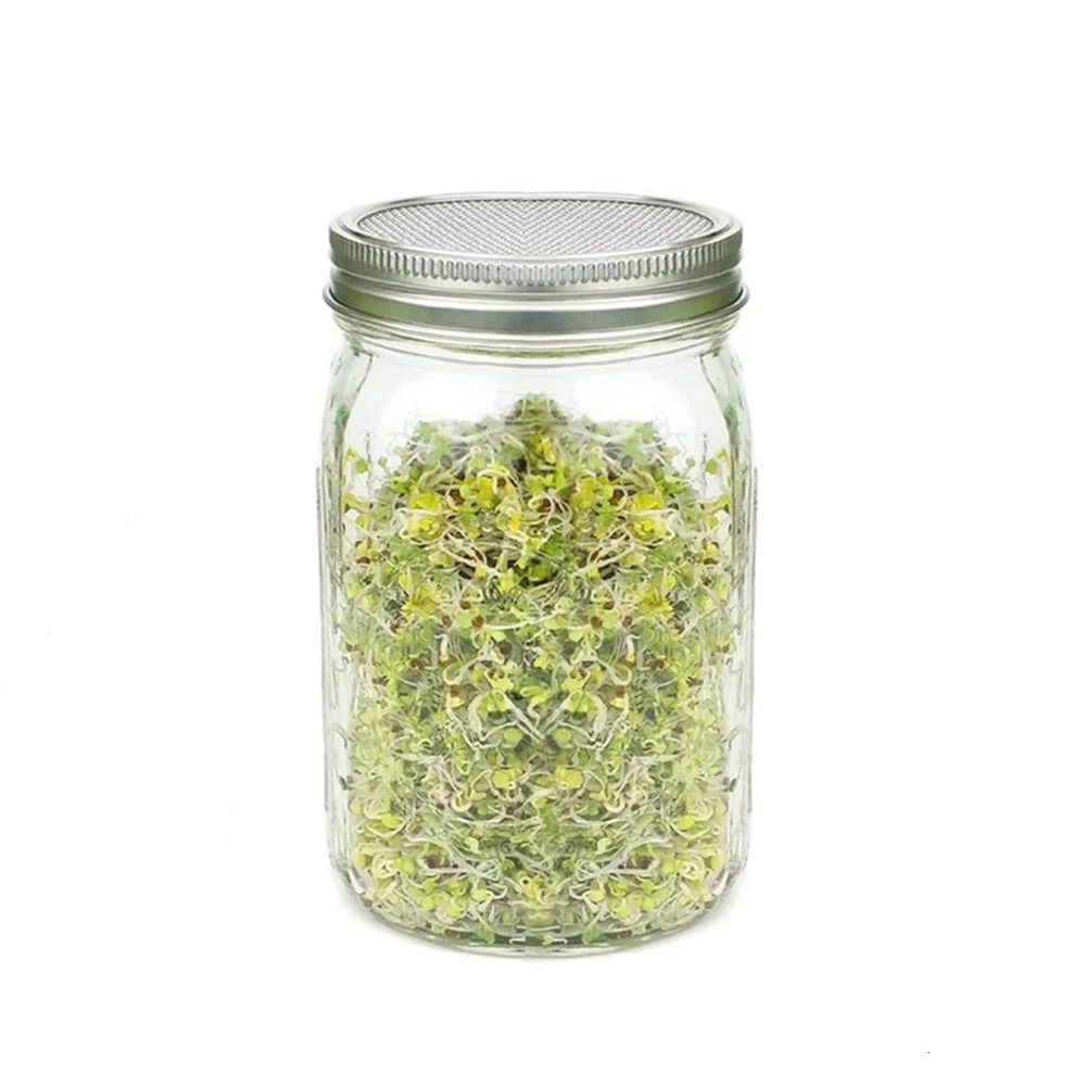 проращиватель семян. семена в банке. баночки для микрозелени. растение в стеклянной банке. стеклянная банка с ситом для проращивания семян.
