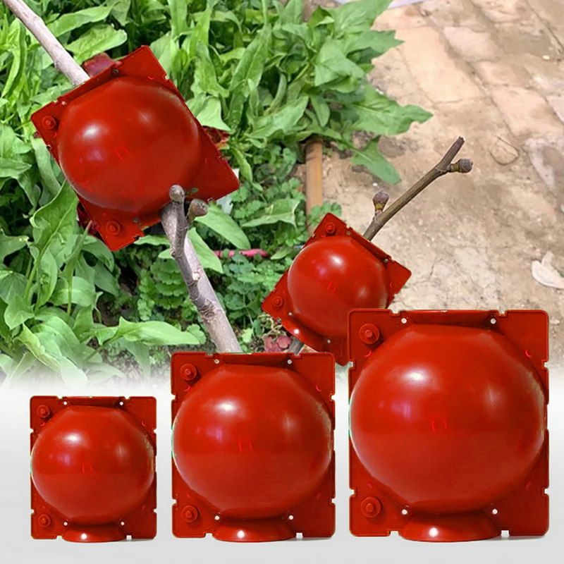 

5pcs Hot Plant Rooting Ball Grafting Rooting Growing Box Breeding Case For Garden Plant High-pressure Propagation Box Sapling