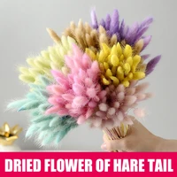 50 pcs dried flower grass decoration photography props for home store wedding bjstore