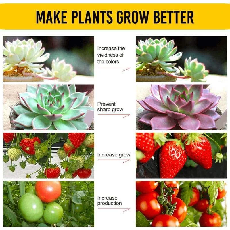 

Rapid rooting powder plant growth regulator for Seedling bonsai tree cutting fungicide rooting hormones foliar fertilizer 30g