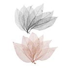100 шт., декоративные листья с изображением скелета магнолии