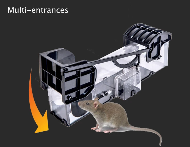дератизация табличка. капкан для крыс. самая мощная мышеловка. контроль грызунов. контроль грызунов.