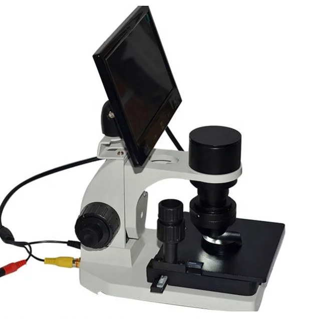 

Wholesale Nail Fold Microcirculation Blood Capillary Microscope
