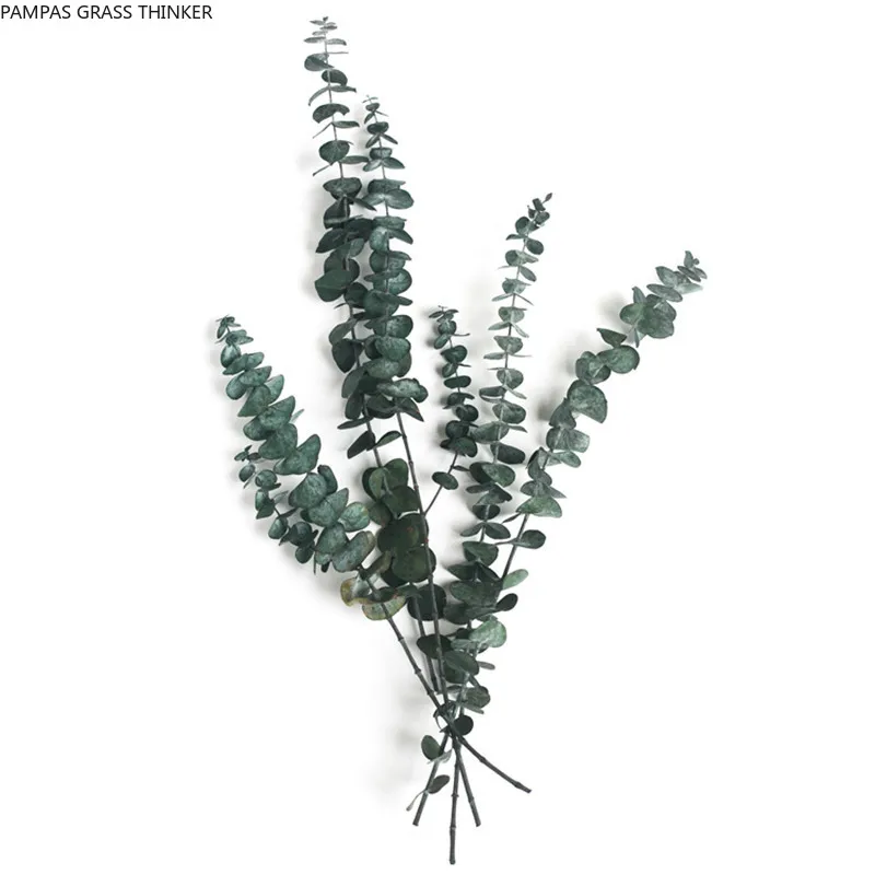 

Free Shipping Tall 55cm Eucalyptus Branches 6 Stems Bouquet Dried Natural Eucalyptus Branches Leaves Flower Arrangement Decor