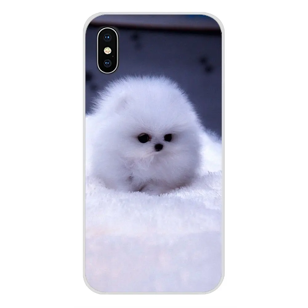 Своего померанского шпица собаки для Apple iPhone X XR XS MAX 4 4S 5 5S 5C SE 6 6S 7 8 Plus ipod Аксессуары