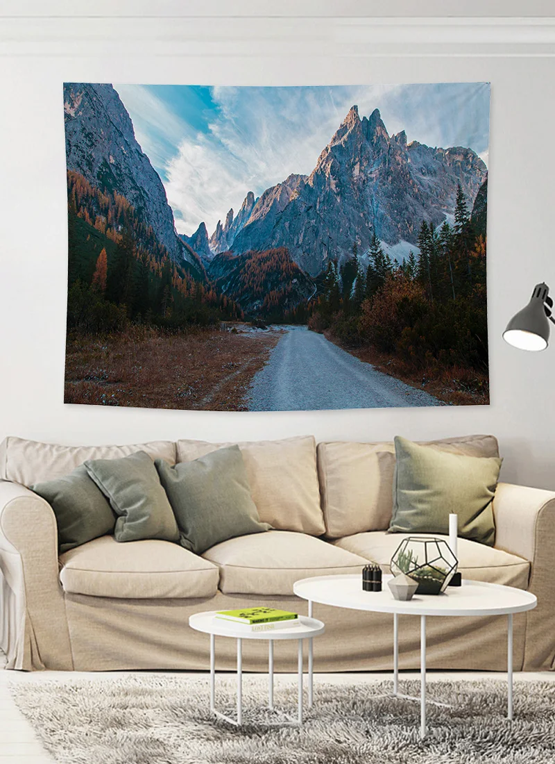 

Northern European Ins Hanging Cloth Room Bedroom Layout Bedside Background Cloth Net Red Live Photo Background Wall Cloth Tap