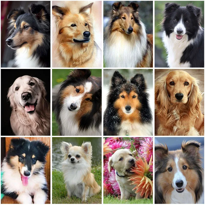 

5d Diamond Painting Full Square/Round Dog Animal Picture of Rhinestone DIY Diamond Embroidery Cross Stitch Wall Art Home Decor