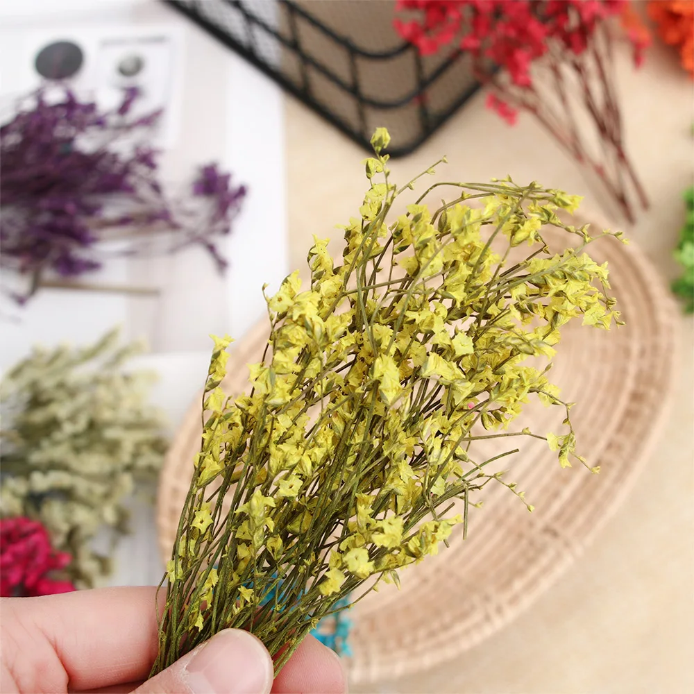 Красочные цветочные растения Хрустальная трава babysbreak для рукоделия Скрапбукинг