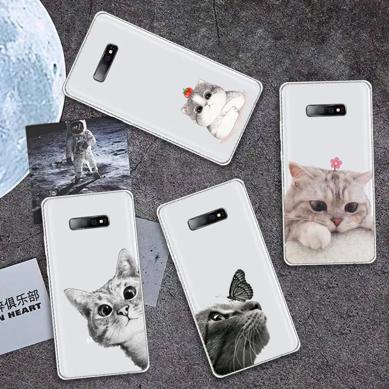 

Cat funny cute animel Phone Case Transparent for Samsung A71 S9 10 20 HUAWEI p30 40 honor 10i 8x xiaomi note 8 Pro 10t 11
