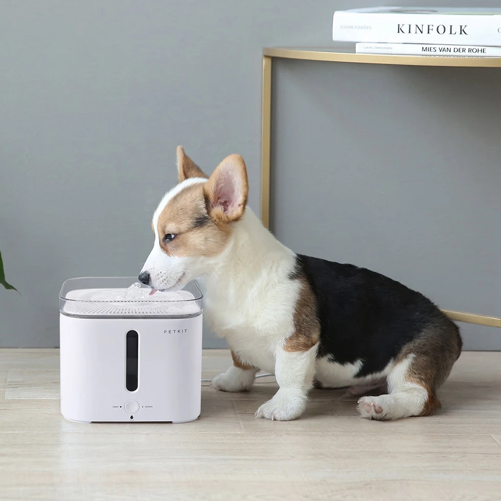 Поилка Xiaomi Petkit Smart Water Dispenser 2 P4101 | Дом и сад