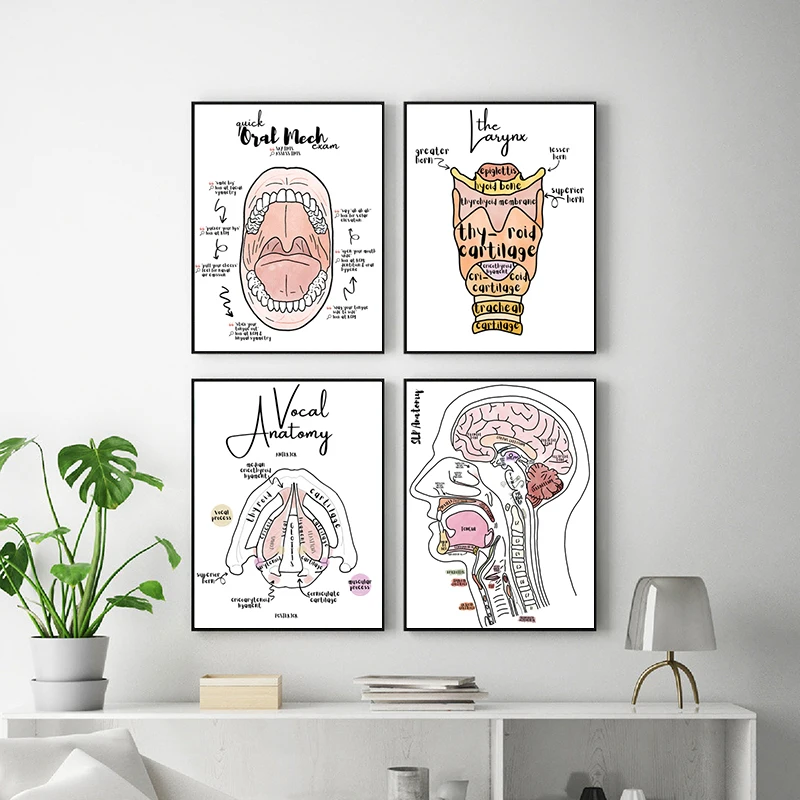 Художественная живопись на холсте SLP с изображением анатомии и физиологии