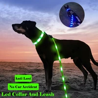 usb charging led dog leash and dog collar anti lostavoid car accident collar for dogs puppies dog collars leads led supplies