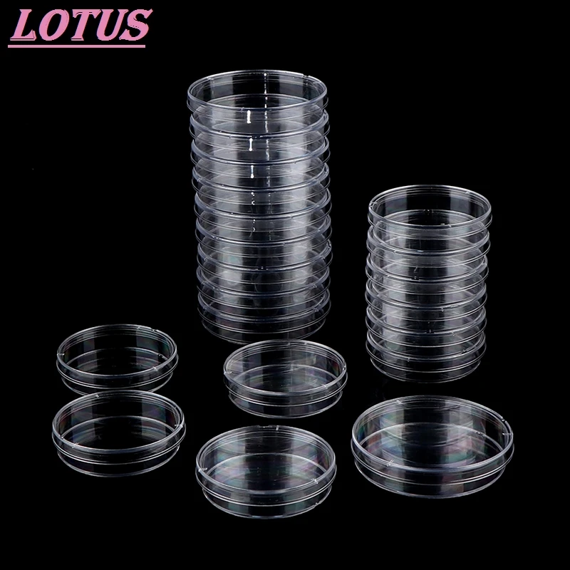 

10PCS New 70mm Polystyrene Sterile Petri Dishes Bacteria Culture Dish For Laboratory Medical Biological Scientific Lab Supplies