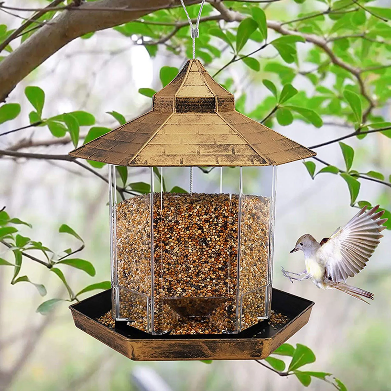 

Transparent Plastic Hanging Bird Grain Feeder Portable Waterproof Bird Feeding Bowl With Adjustable Handle #W