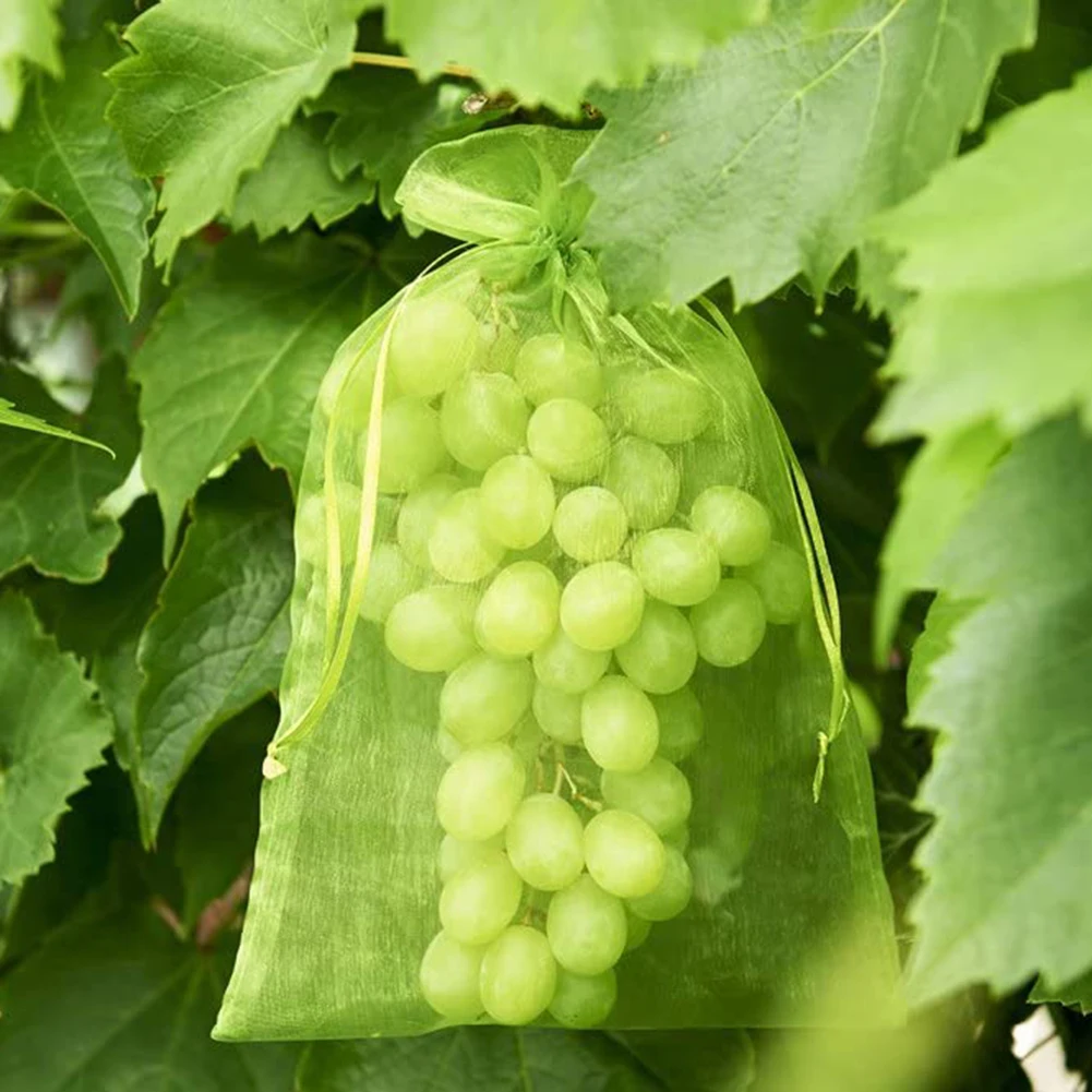 

100pc Garden Anti-Bird Vegetable Grapes Fruit Grow Bag Plants Protection Bag Drawstring Net Plant Protective Gauze Mesh Bag