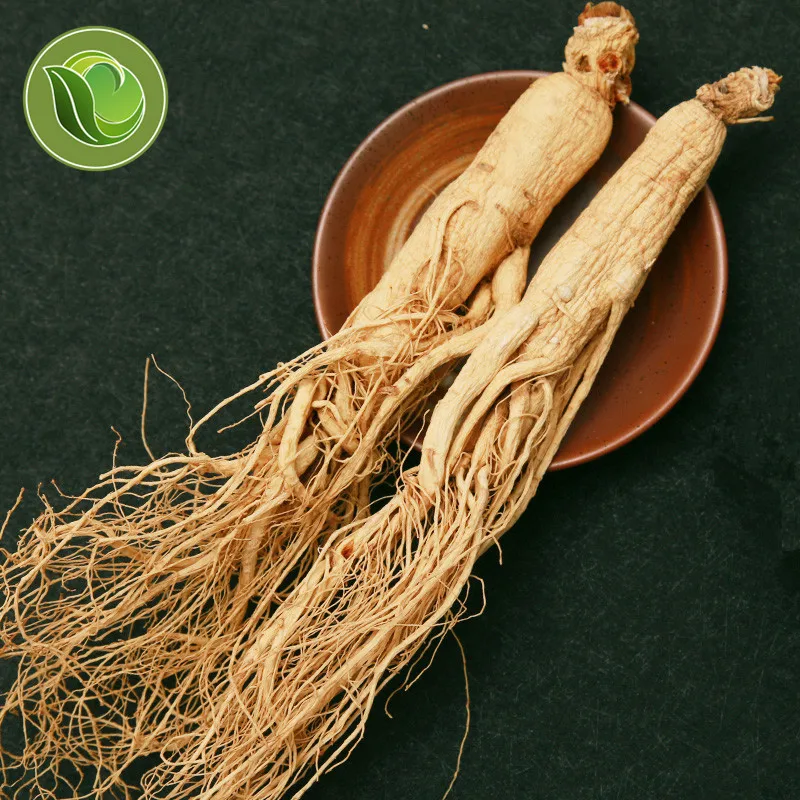 

100% Organic Wild Dried White Ginseng Roots 8 Years Ginseng Root
