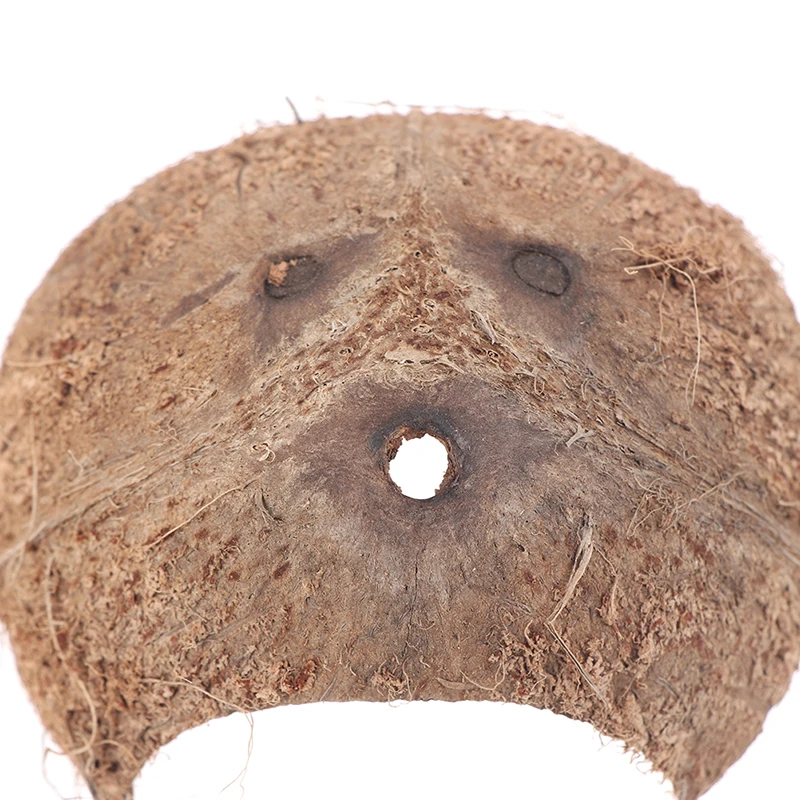 1pcs Reptiel Verbergen Habitat Natuurlijke Kokosnoot Lizard Spider Kleine Dier Cave Huis | Дом и сад