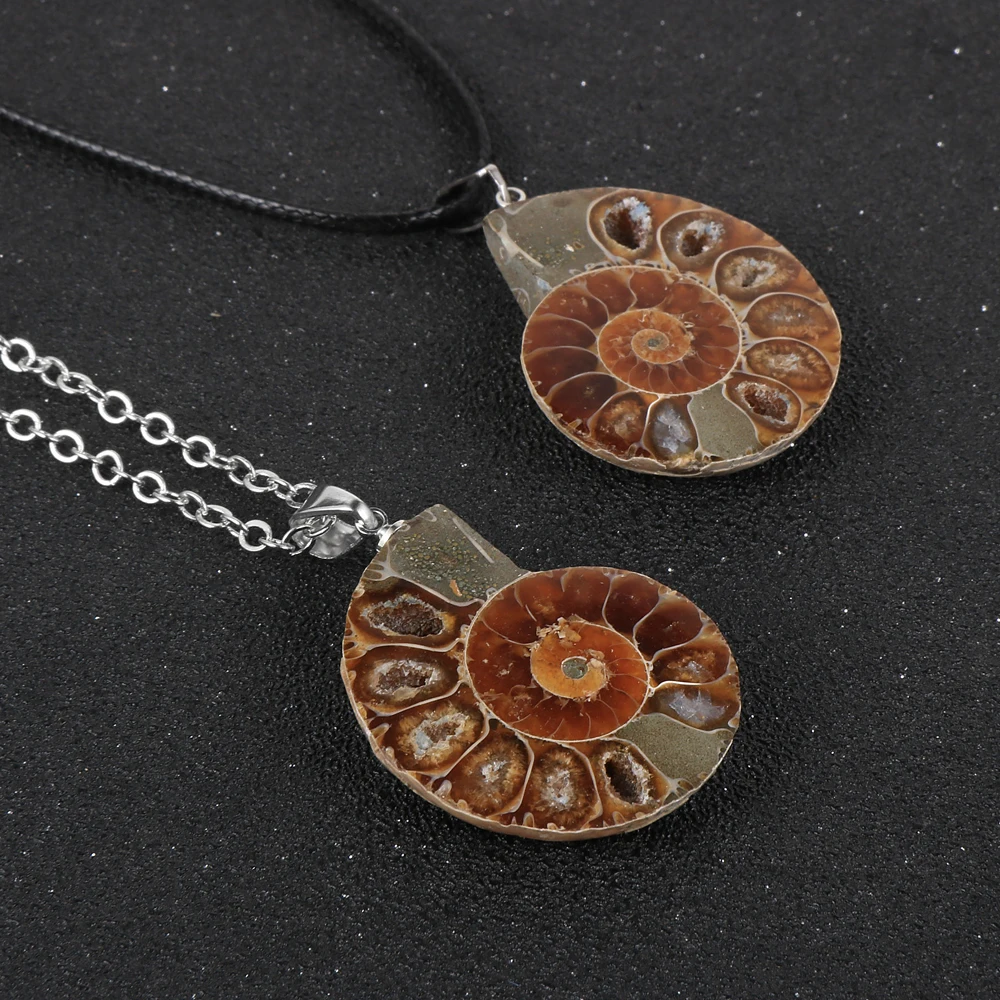 Женский и мужской натуральный окаменелостей аммония кулон Улитка ожерелье океан