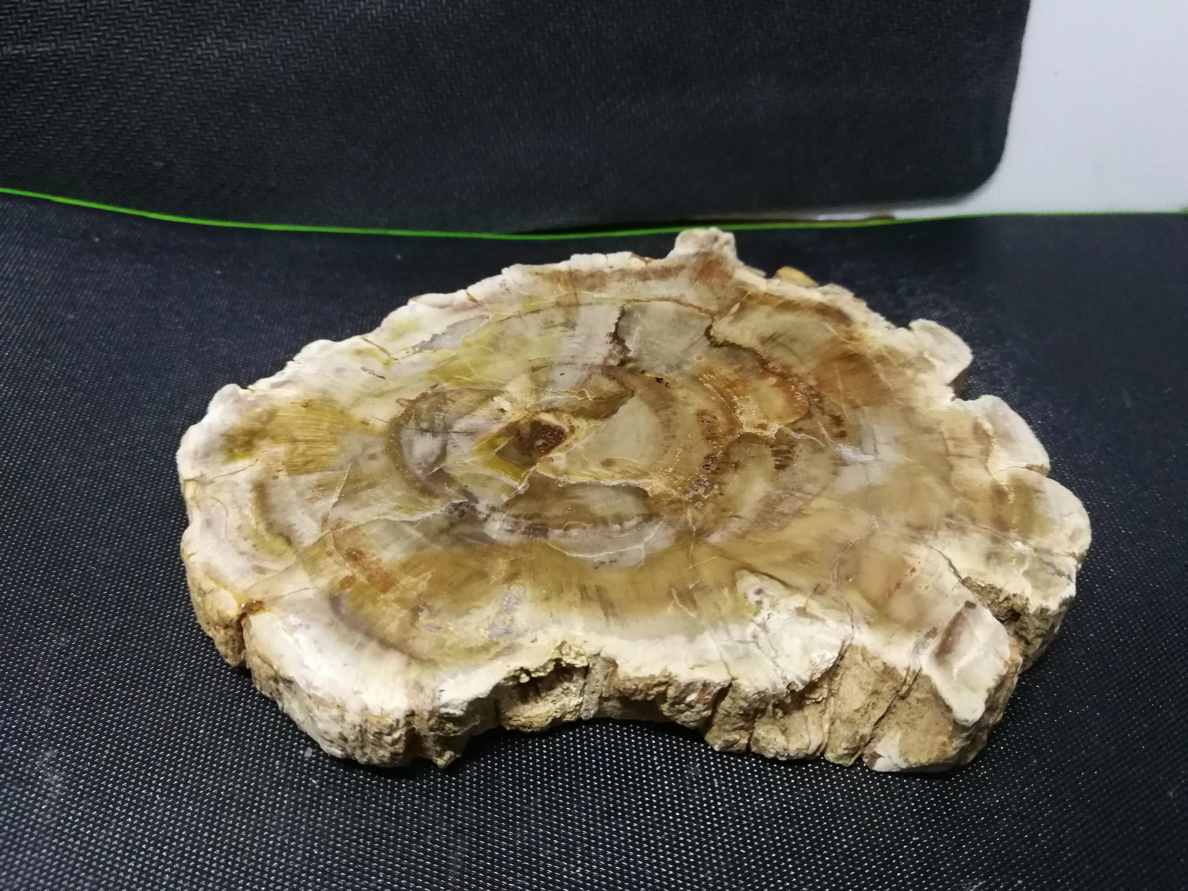 

315.7gNatural fossil wood chips, quartz crystal agate flower stone coasters, landscape Pieces