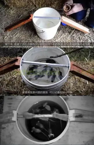 Rotatable Roll Into Bucket Mice Trap Rolling Mouse Rats Rodent Catch Mousetrap | Инструменты