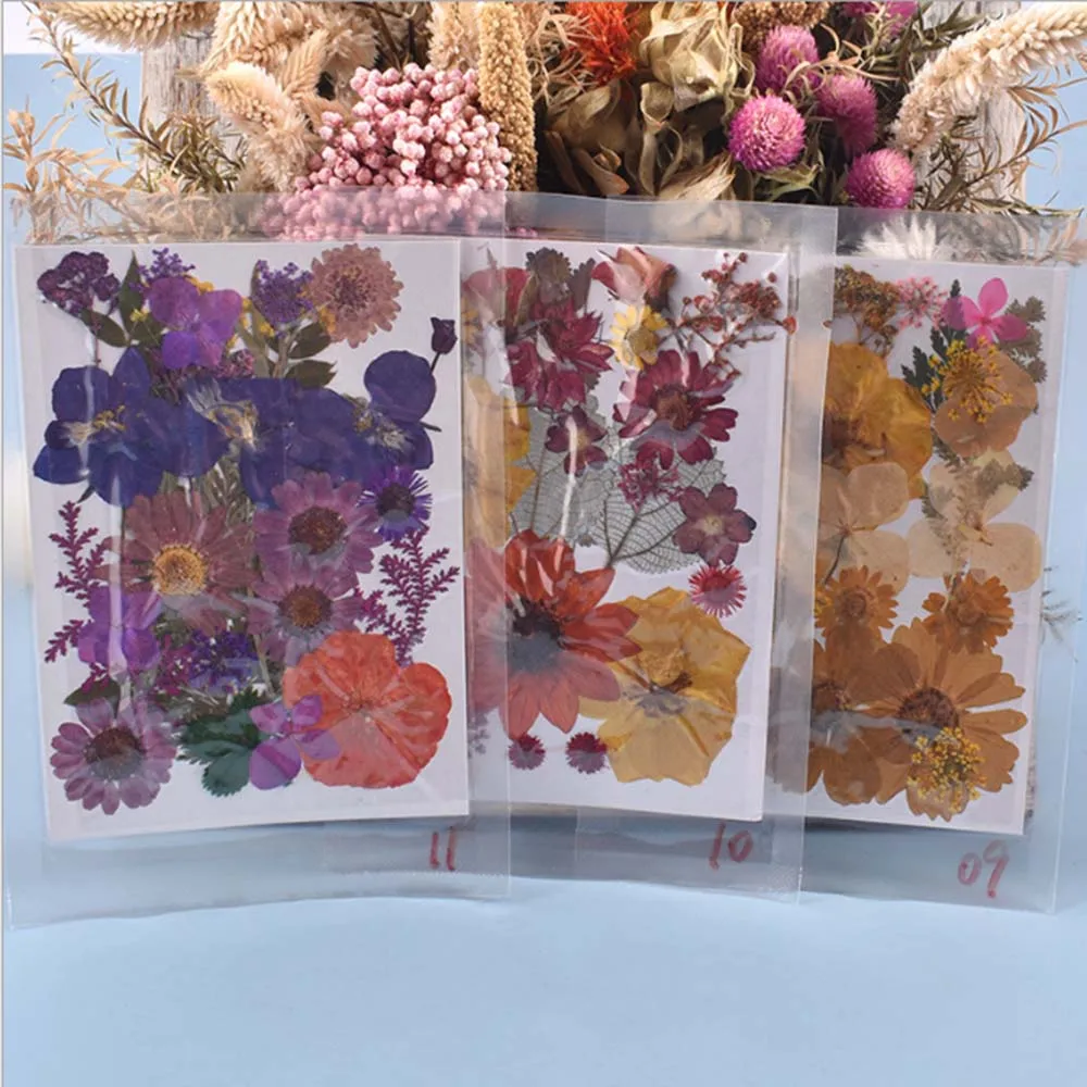 

1 Pack Real Dried Pressed Flower Leaves Set Mixed DIY Epoxy Resin Filling Material Bookmark Crafts Jewelry Ornament Making